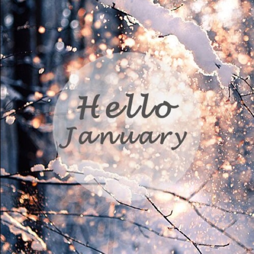 Meet your Posher, Kaylene